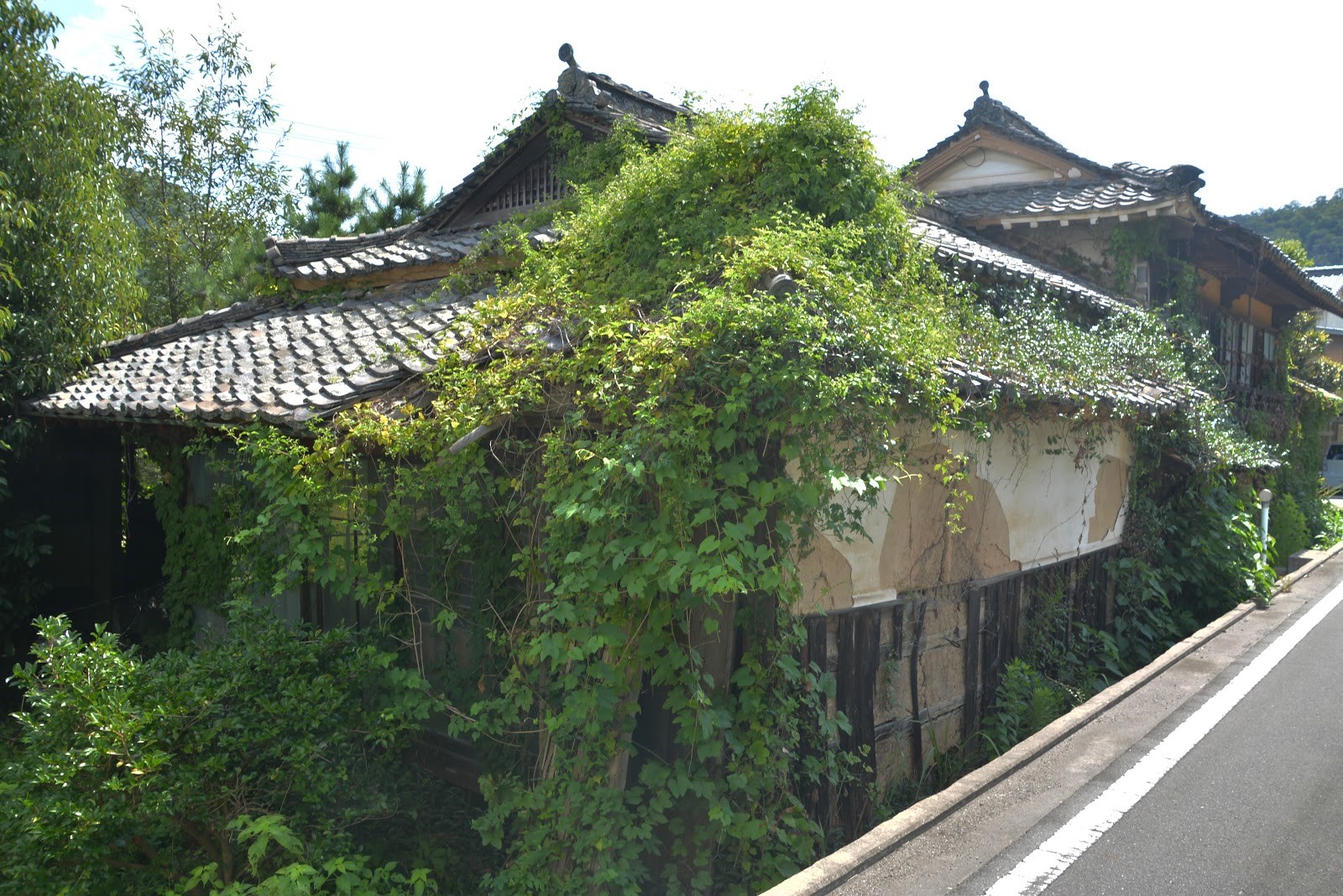 実家の空き家を片付けてリスクを回避しよう